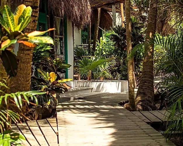 Cormoran & Cenote Hotel