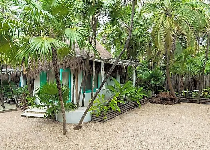 Cormoran & Cenote Hotel