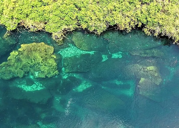 Cormoran & Cenote