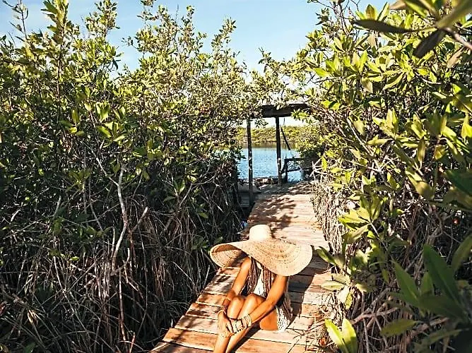Cormoran & Cenote Tulum