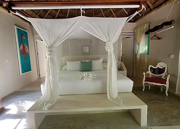Cormoran & Cenote Hotel