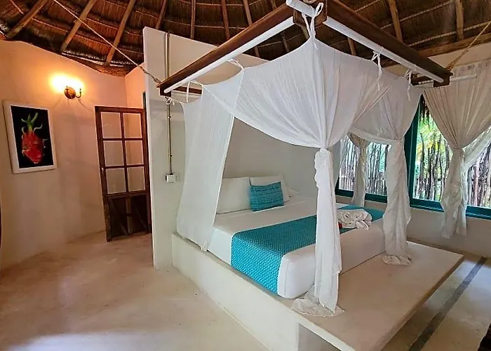 Hotel Cormoran & Cenote 3*